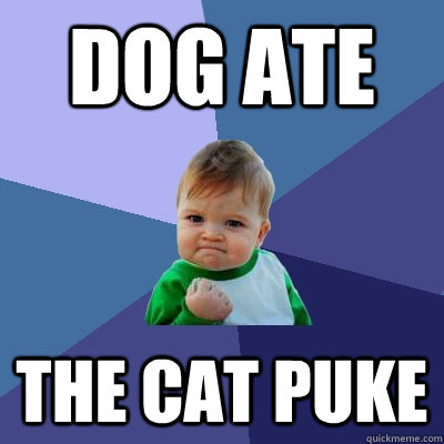 Dog Ate The cat puke  Success Kid