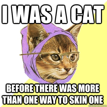 I was a cat before there was more than one way to skin one  Hipster Kitty