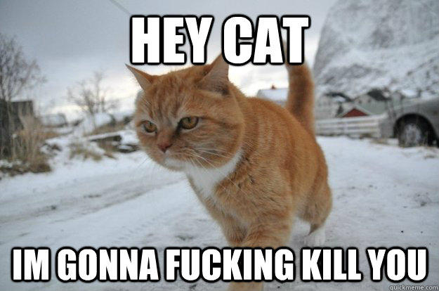 hey cat im gonna fucking kill you - hey cat im gonna fucking kill you  whenever i see a cat