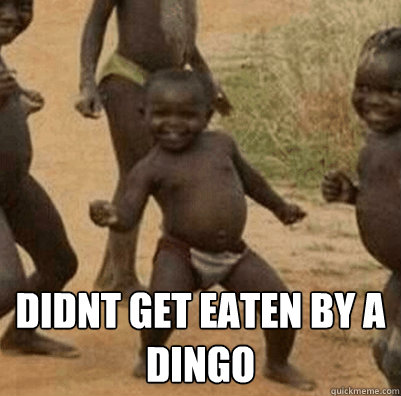  Didnt get eaten by a Dingo  Third World Success Kid