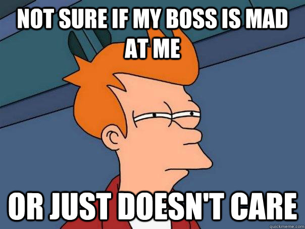 Not sure if my boss is mad at me Or just doesn't care  Futurama Fry