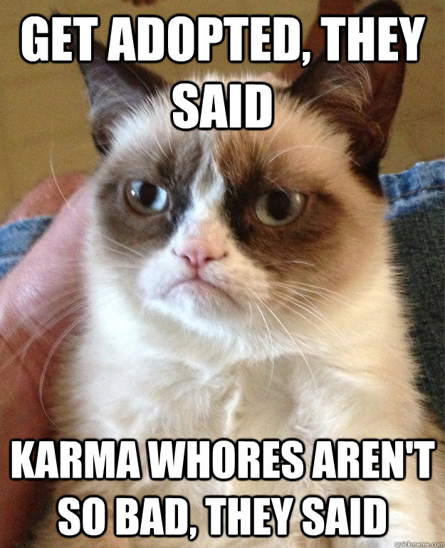 Get adopted, they said karma whores aren't so bad, they said  grump