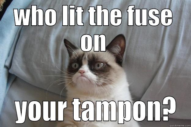 WHO LIT THE FUSE ON  YOUR TAMPON? Grumpy Cat