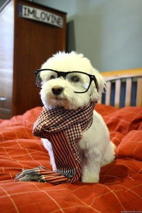 Miss all your smiling faces -   Hipster Dog