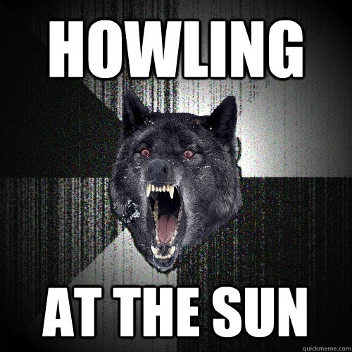 HOWLING AT THE SUN  Insanity Wolf