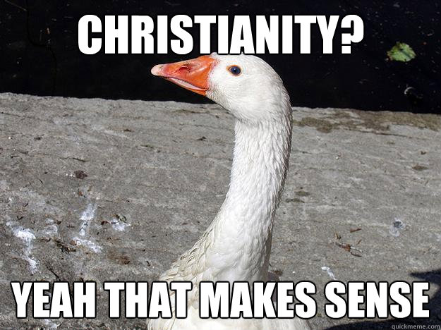 Christianity? Yeah that makes sense  Gullible Goose