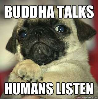 Buddha Talks Humans listen - Buddha Talks Humans listen  SMUG PUG