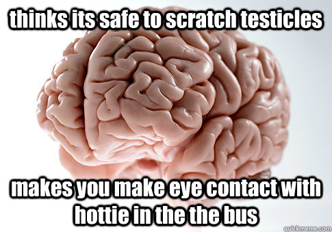 thinks its safe to scratch testicles makes you make eye contact with hottie in the the bus   Scumbag Brain
