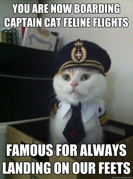 you are now boarding captain cat feline flights famous for always landing on our feets  Captain kitteh