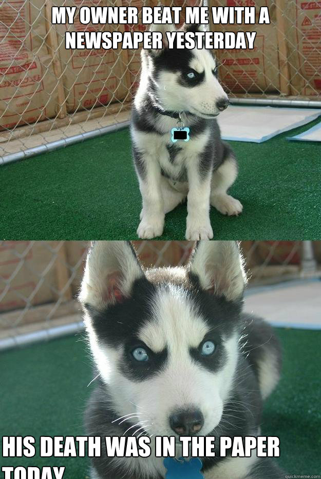 My owner beat me with a newspaper yesterday His death was in the paper today  Insanity puppy