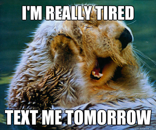 I'm really tired text me tomorrow - I'm really tired text me tomorrow  Sleepy Otter