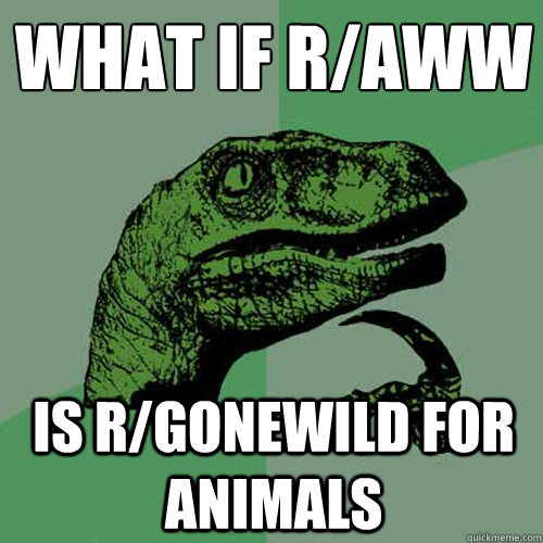 What if r/aww
 Is R/Gonewild for animals - What if r/aww
 Is R/Gonewild for animals  Philosoraptor