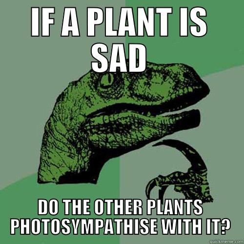 If a plant is sad - IF A PLANT IS SAD DO THE OTHER PLANTS PHOTOSYMPATHISE WITH IT? Philosoraptor