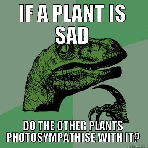 IF A PLANT IS SAD DO THE OTHER PLANTS PHOTOSYMPATHISE WITH IT? Philosoraptor