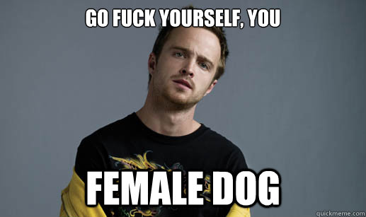 GO FUCK YOURSELF, YOU FEMALE DOG  Jesse Pinkman Loves the word Bitch