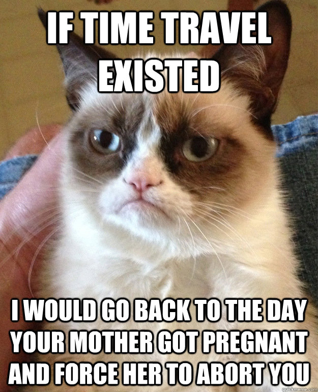 if time travel existed I would go back to the day your mother got pregnant and force her to abort you  grumpycat