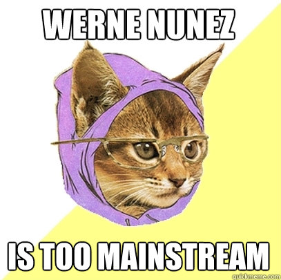 werne nunez is too mainstream  Hipster Kitty
