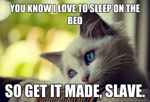 You know I love to sleep on the bed So get it made, slave.   First World Problems Cat