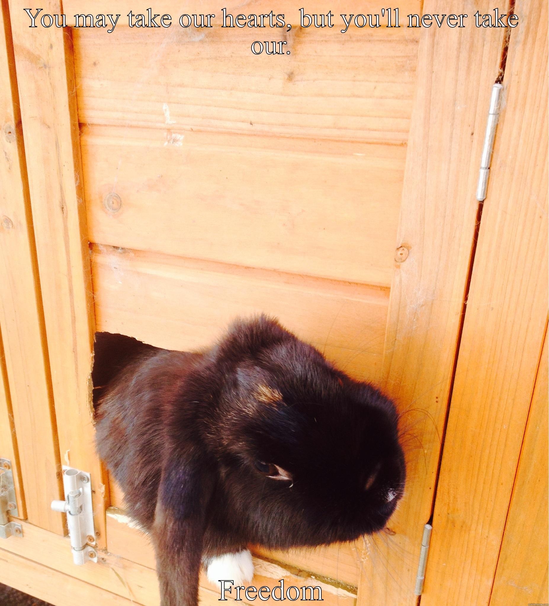 YOU MAY TAKE OUR HEARTS, BUT YOU'LL NEVER TAKE OUR. FREEDOM Sudden Clarity Clarence