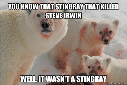 you know that stingray that killed steve irwin well, it wasn't a stingray  Bad News Bears
