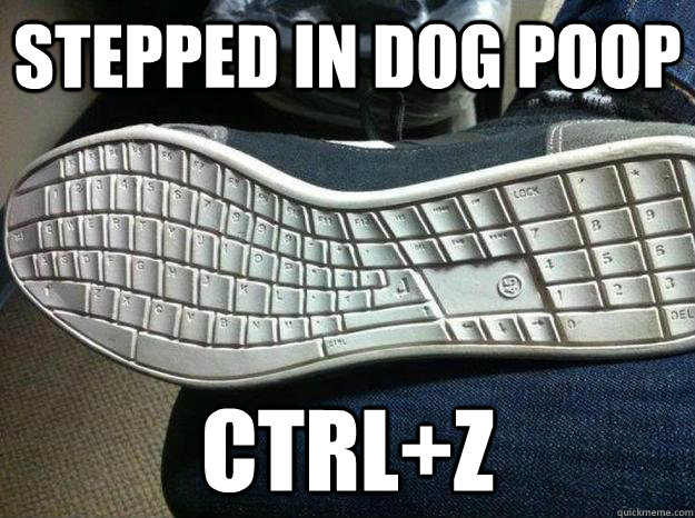 Stepped in dog Poop CTRL+Z  Undo dog poop