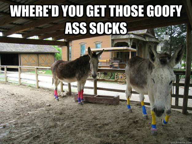 where'd you get those goofy ass socks  