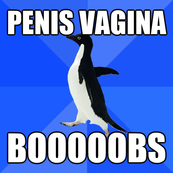 PENIS VAGINA BOOOOOBS
  Socially Awkward Penguin