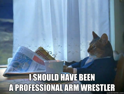  I should have been
a professional arm wrestler  The One Percent Cat