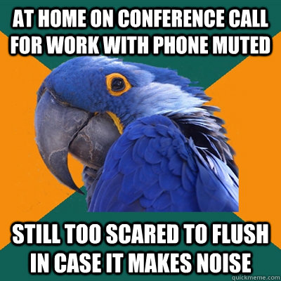 at home on conference call for work with phone muted Still too scared to flush in case it makes noise  Paranoid Parrot