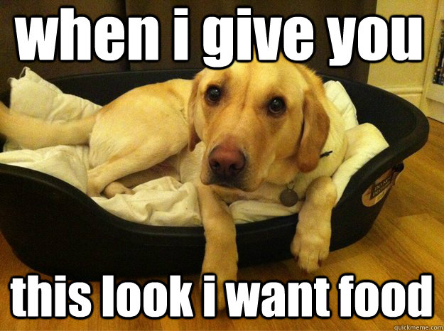 when i give you  this look i want food   