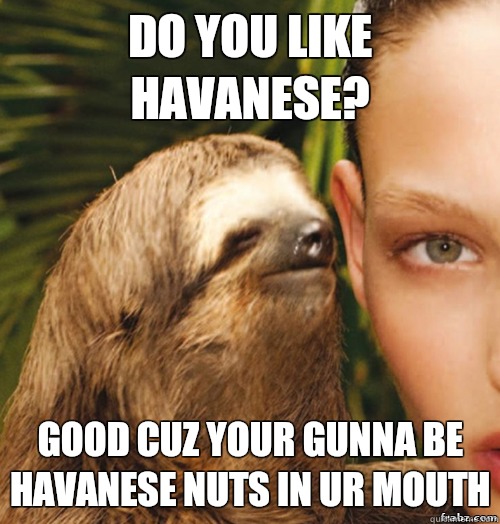 Do you like havanese? Good cuz your gunna be havanese nuts in ur mouth  rape sloth