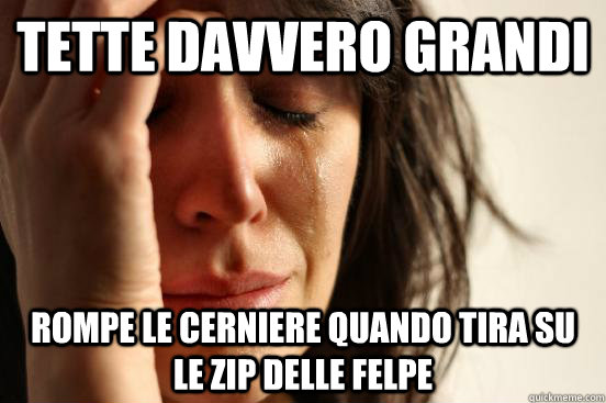 tette davvero grandi rompe le cerniere quando tira su le zip delle felpe  First World Problems
