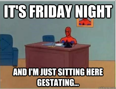 It's Friday night AND I'M JUST SITTING HERE gestating...  And im just sitting here