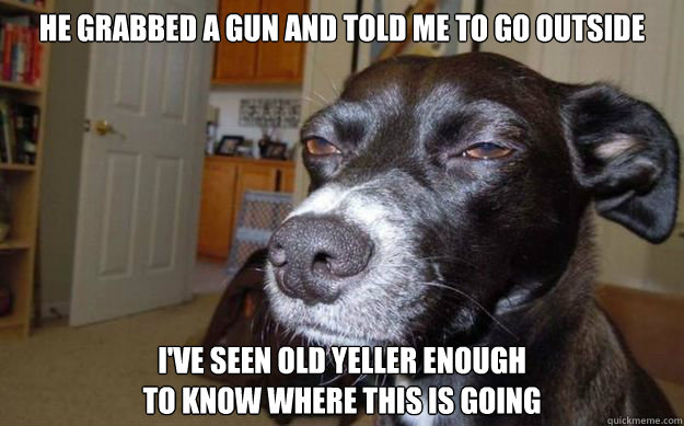 he grabbed a gun and told me to go outside i've seen old yeller enough
to know where this is going - he grabbed a gun and told me to go outside i've seen old yeller enough
to know where this is going  Skeptical Mutt