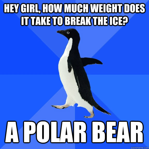 Hey Girl, How much weight does it take to break the ice? A Polar Bear  Socially Awkward Penguin