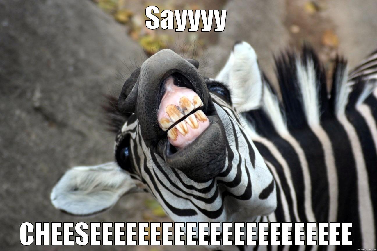 SAYYYY CHEESEEEEEEEEEEEEEEEEEEEEEE Misc