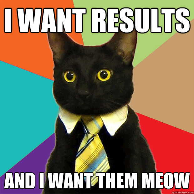 I want results and I want them meow - I want results and I want them meow  Business Cat