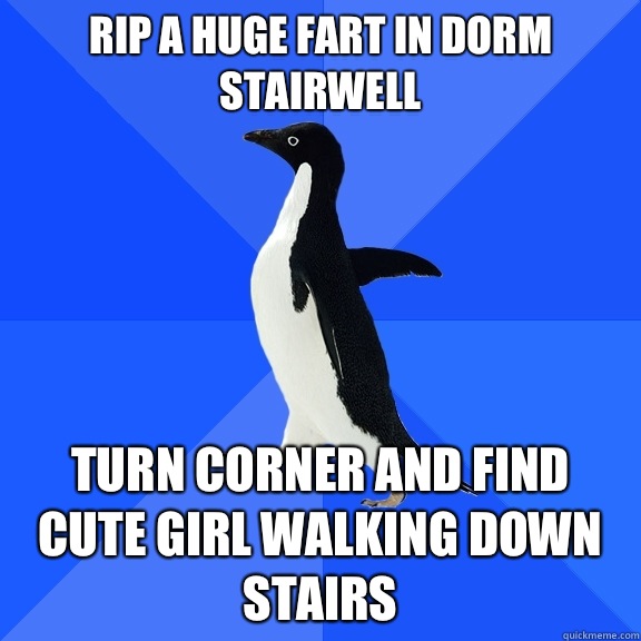 Rip a huge fart in dorm stairwell Turn corner and find Cute girl walking down stairs  Socially Awkward Penguin