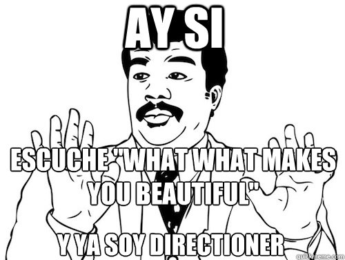 AY SI ¡eSCUCHE ''WHAT WHAT MAKES YOU BEAUTIFUL''
   y yA SOY DIRECTIONER  ay si