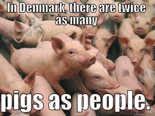IN DENMARK, THERE ARE TWICE AS MANY  PIGS AS PEOPLE. Misc