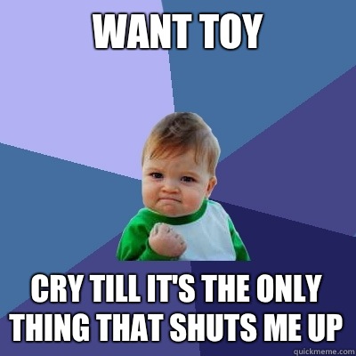 WANT TOY CRY TILL IT'S THE ONLY THING THAT SHUTS ME UP  Success Kid