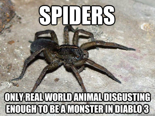 Spiders Only real world animal disgusting enough to be a monster in Diablo 3 - Spiders Only real world animal disgusting enough to be a monster in Diablo 3  Misc
