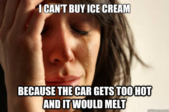 I can't buy ice cream because the car gets too hot and it would melt  First World Problems
