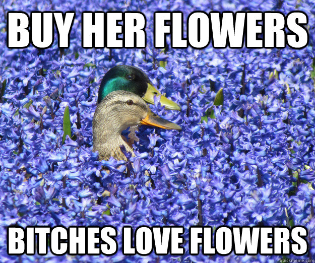 Buy her flowers bitches love flowers - Buy her flowers bitches love flowers  Misc