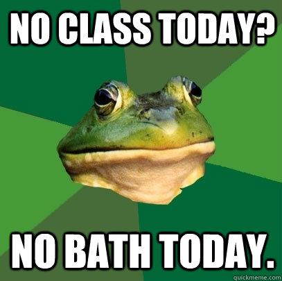 No class today? No bath today.  Foul Bachelor Frog