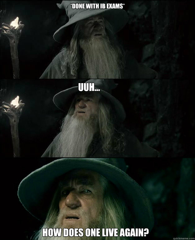 *DONE WITH IB EXAMS* HOW DOES ONE LIVE AGAIN? UUH...  Gandalf und das Spanischstudium