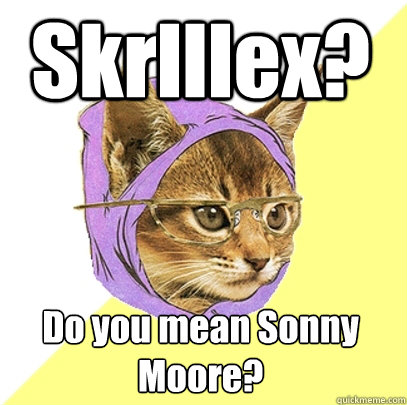 Skrlllex? Do you mean Sonny Moore?  Hipster Kitty