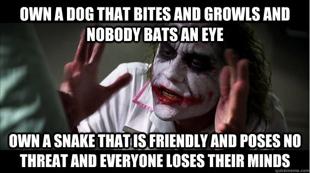 Own a dog that bites and growls and nobody bats an eye own a snake that is friendly and poses no threat and everyone loses their minds  Joker Mind Loss