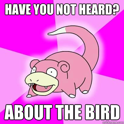 have you not heard? about the bird  Slowpoke