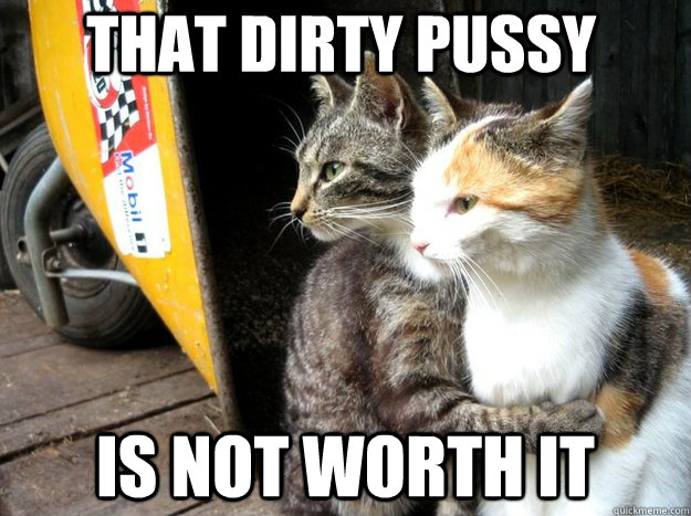 that dirty pussy is not worth it - that dirty pussy is not worth it  Restraining Cat